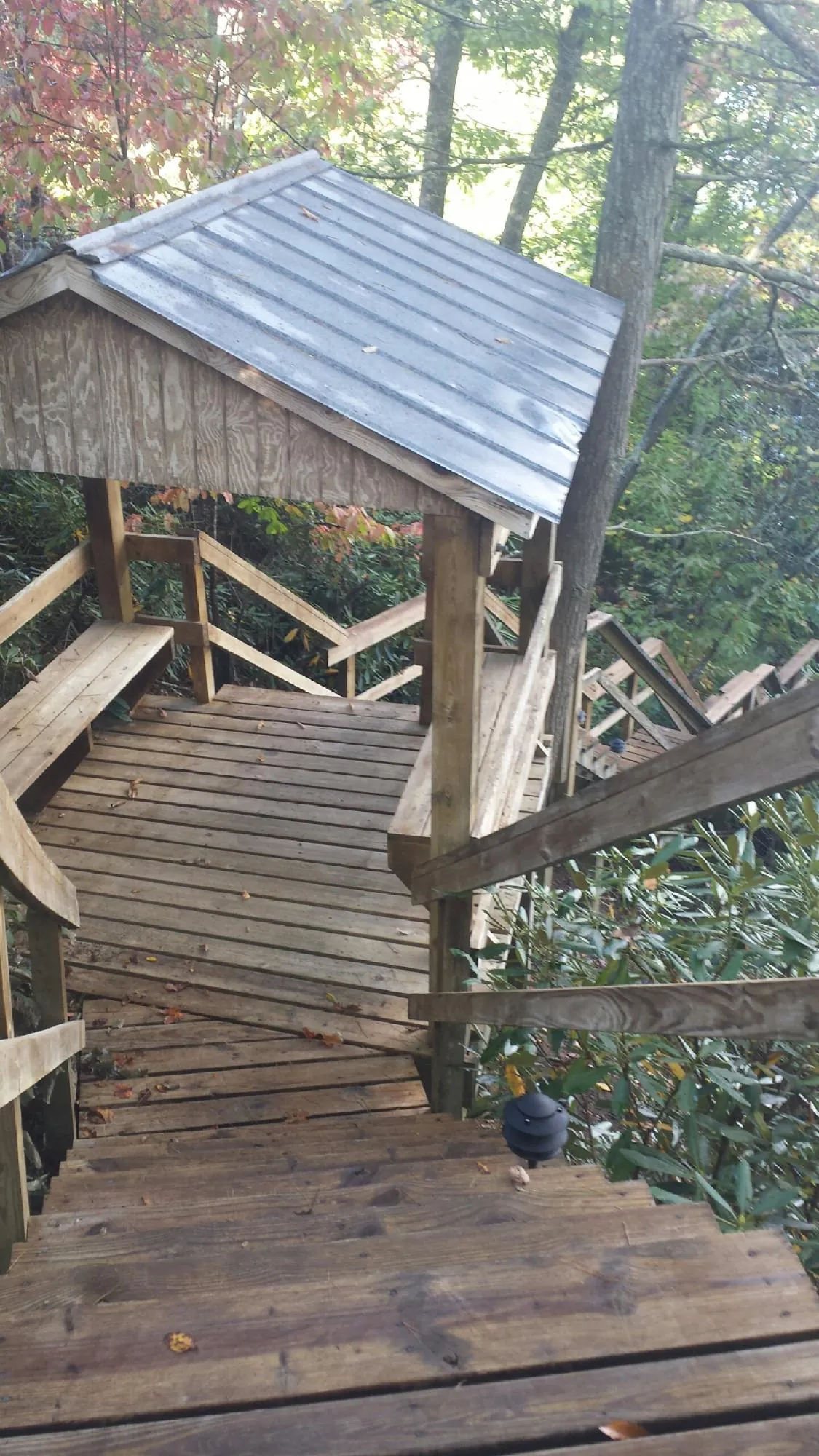 Metal roofed shelter over wooden steps on a wooded walkway in Arlington